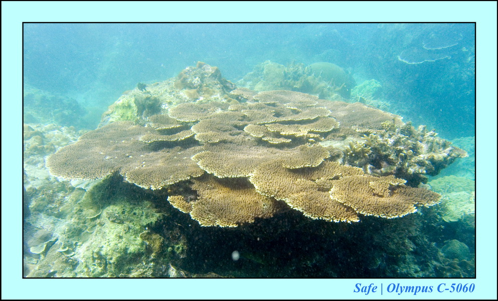 2008 - 07 - Redang - 022